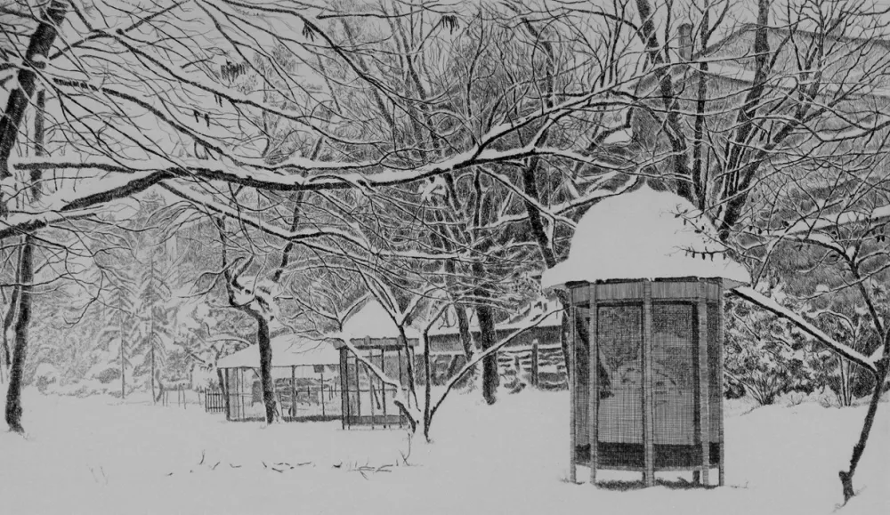 Radierung Cotugno  - Gennaio. Isola Carolina