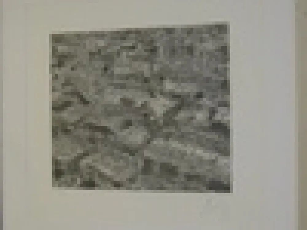 Stich Cragg - Traffic