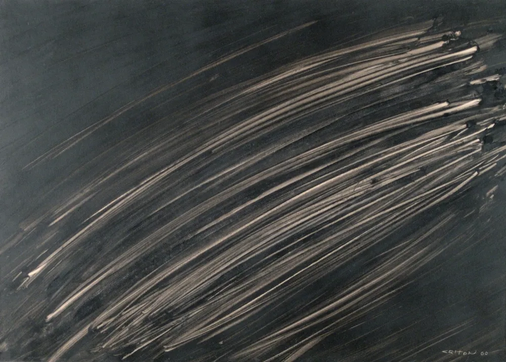 Keine Technische Criton - Technique mixte sur papier marouflée sur toile. 