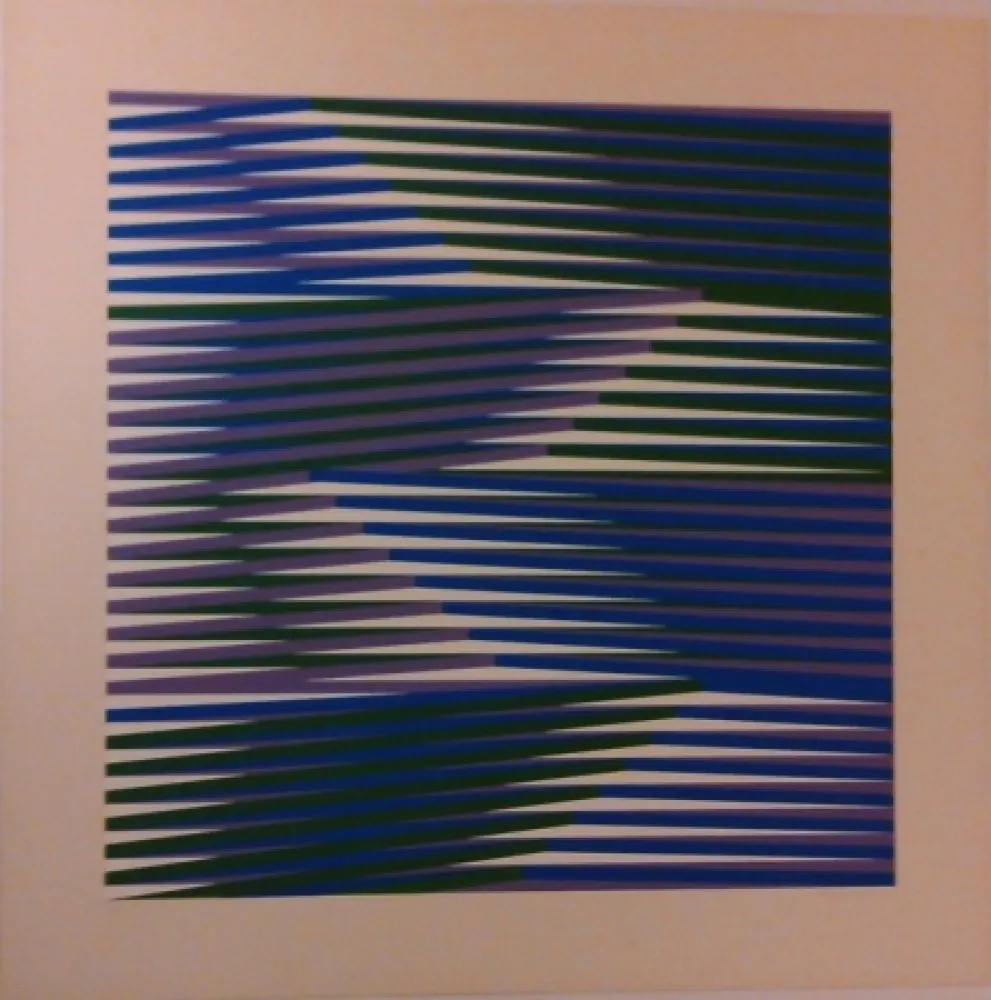 Siebdruck Cruz-Diez - Composition 