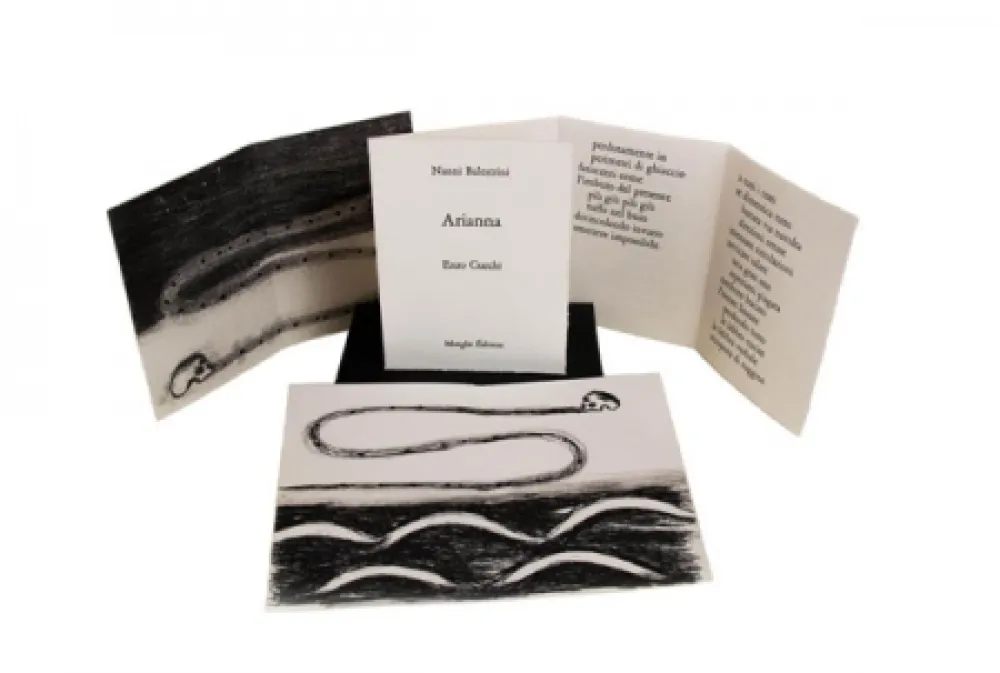 Illustriertes Buch Cucchi - Arianna