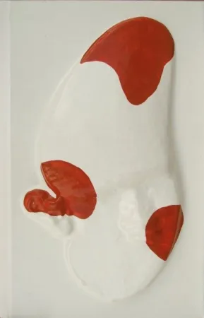 Illustriertes Buch Cucchi - La grande scimmia