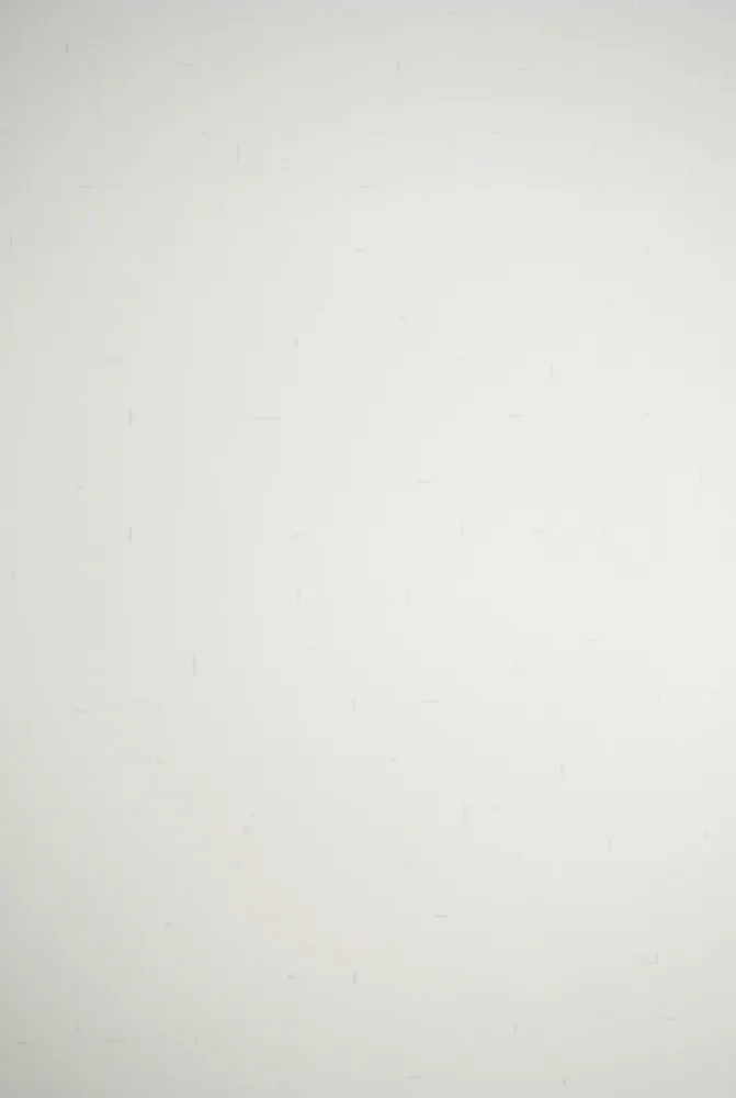 Lithographie Dadamaino - Senza titolo