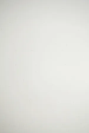 Lithographie Dadamaino - Senza titolo