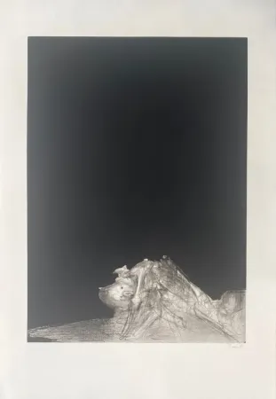 Stich Dado - Sans titre