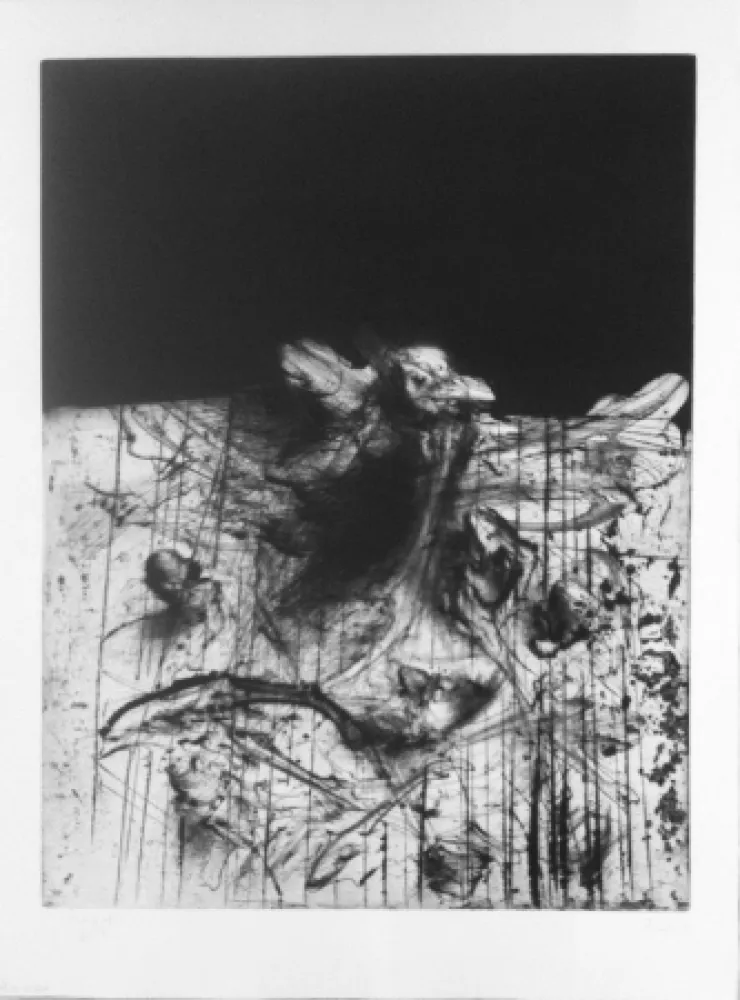 Stich Dado - Sans titre