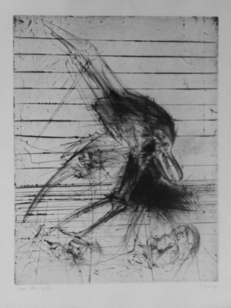 Stich Dado - Sans titre