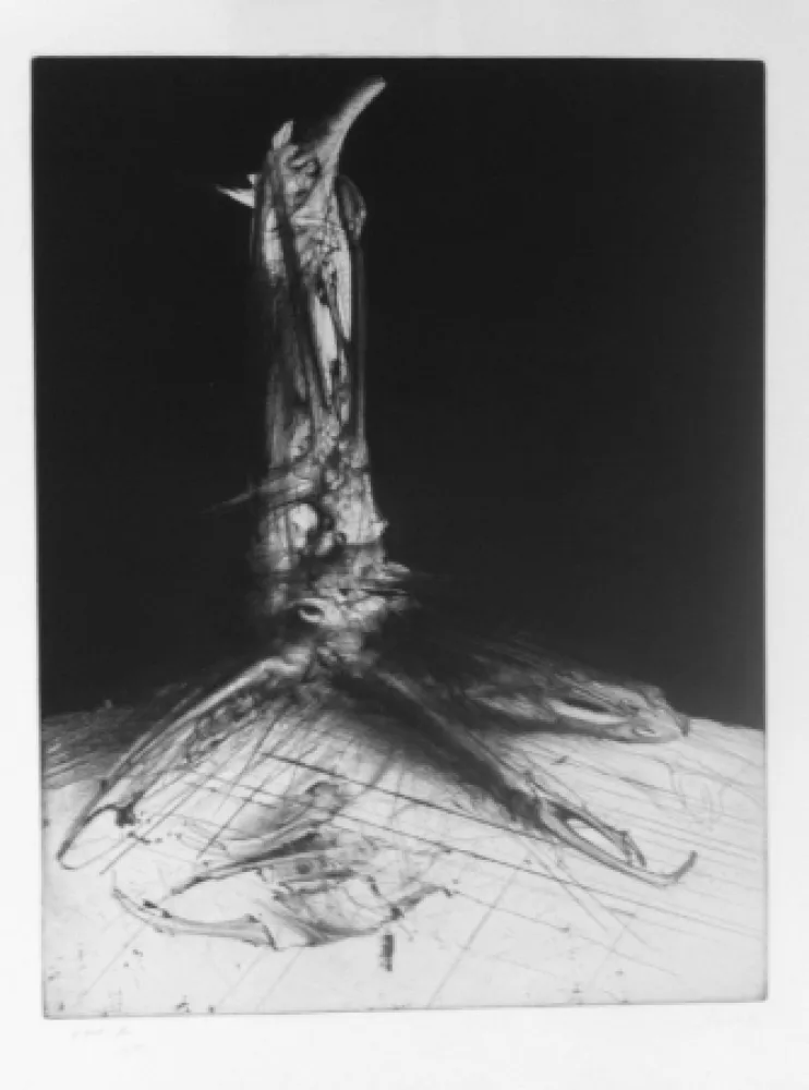 Stich Dado - Sans titre