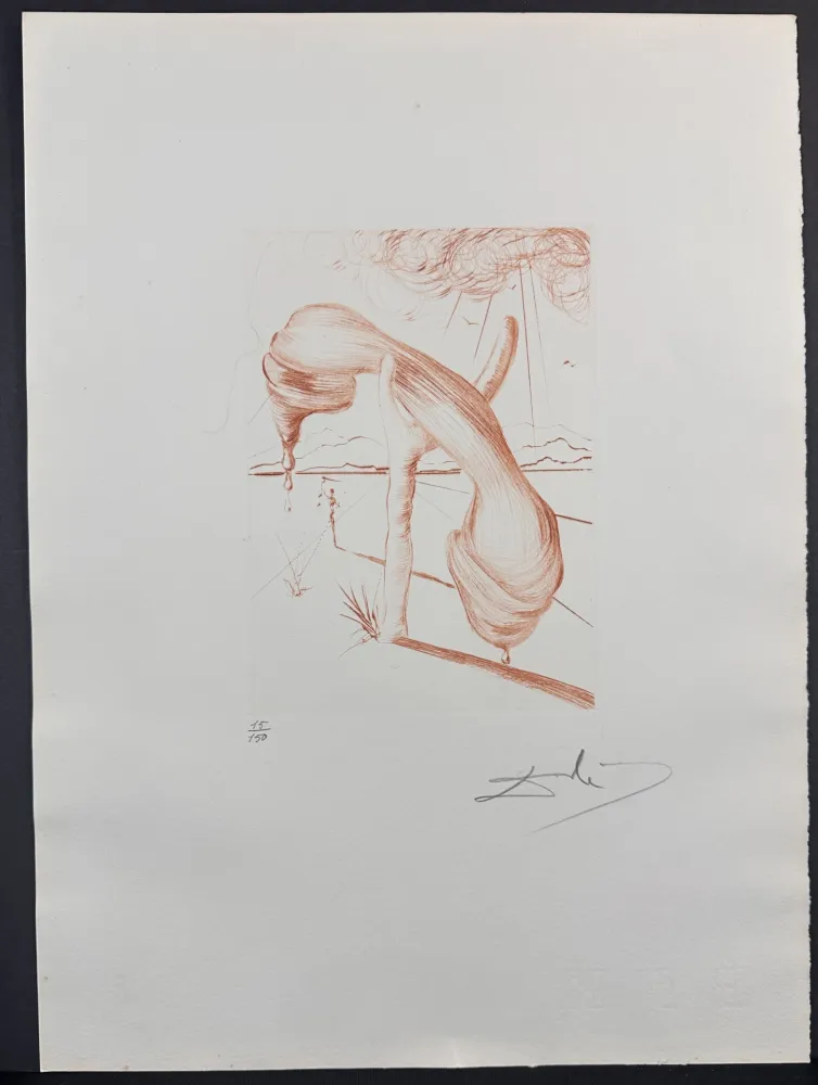 Stich Dali - Album Soft Telephone