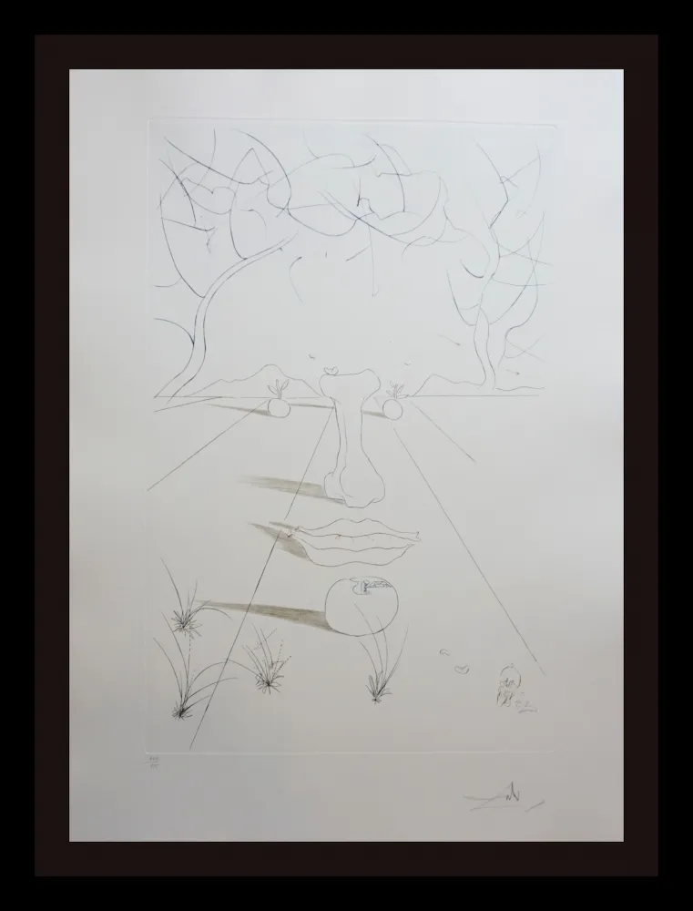 Stich Dali - Aurelia Visage Surrealiste