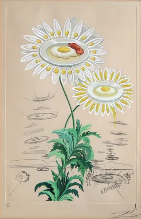 Stich Dali - Chrysanthemum Frutescens