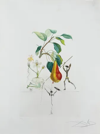Lithographie Dali - Don Quixote Pear from Flordali suite