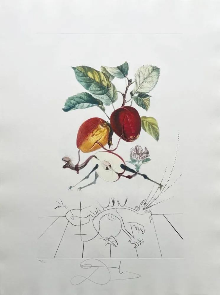 Lithographie Dali - Dragon Apple from Flordali suite