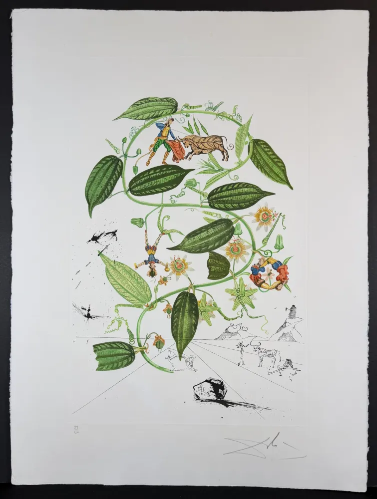 Stich Dali - Flora Dalinae Passionflower