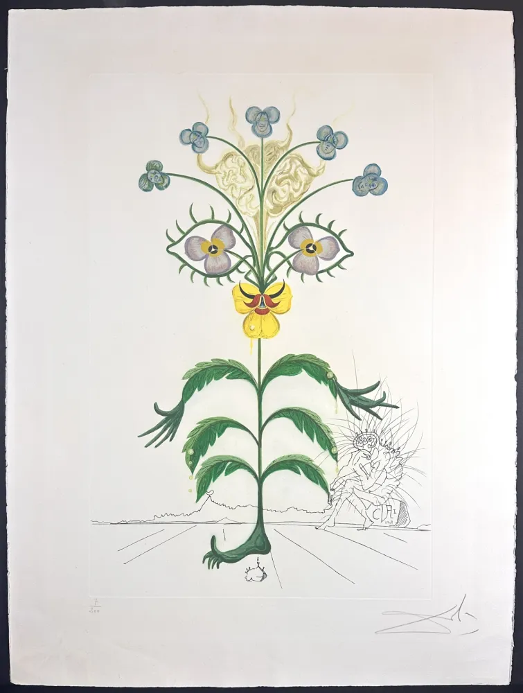 Stich Dali - Flora Dalinae Viola Cogitans/Self-Portrait Pansy