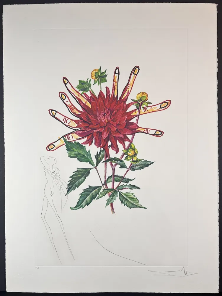 Stich Dali - Florals Dahlia (+ Fingers) Venus
