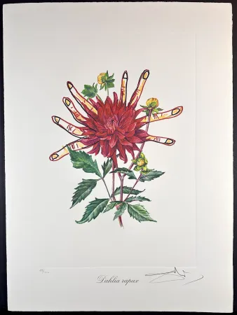 Stich Dali - Florals Dahlias of Dali