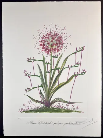 Stich Dali - Florals Desert Cactus