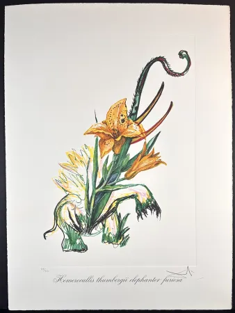 Stich Dali - Florals Elephant Lily