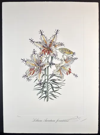 Stich Dali - Florals Erotic Lily