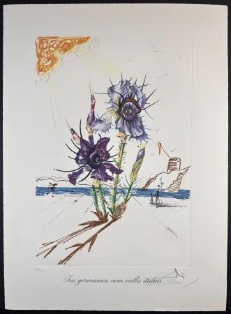 Stich Dali - Florals Iris of Dali's Youth