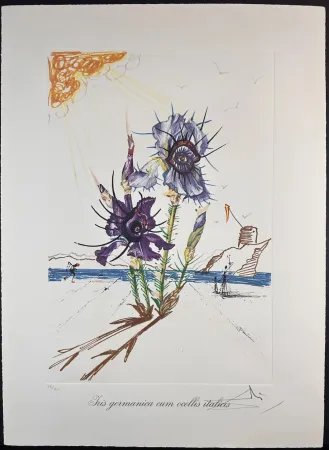 Lithographie Dali - Florals Iris of Dali's Youth