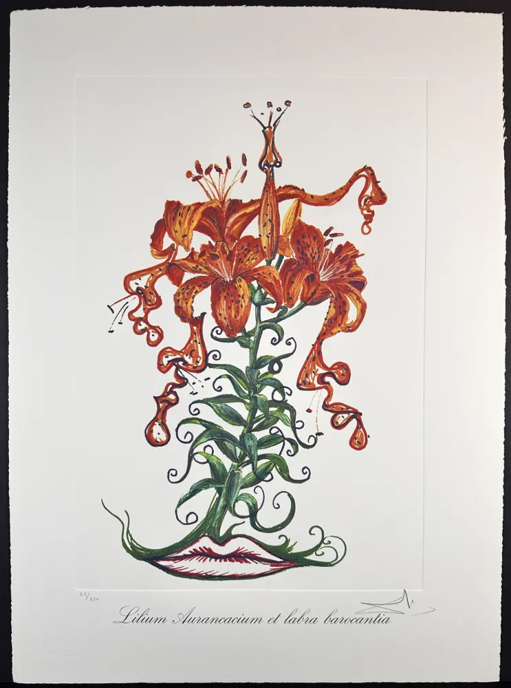 Stich Dali - Florals Tiger Lilies of The Theatre