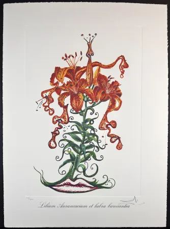 Stich Dali - Florals Tiger Lilies of The Theatre
