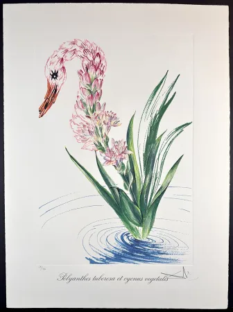 Stich Dali - Florals Water-Hybiscus Swan