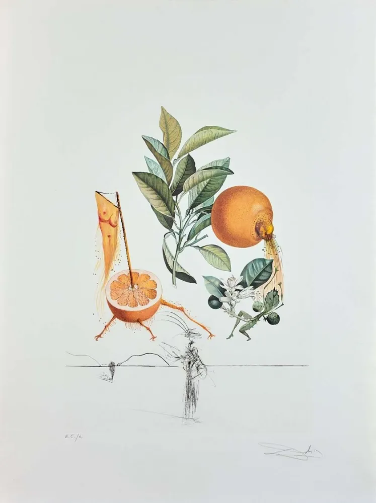 Stich Dali - Flordali - Pamplemousse Erotique