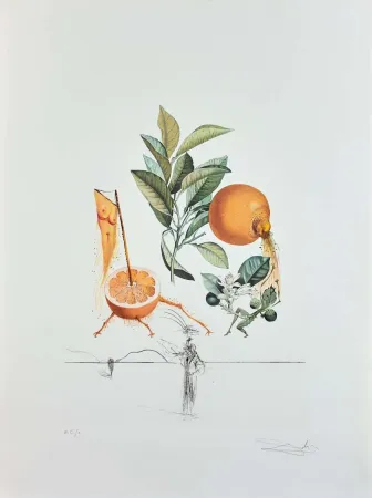 Stich Dali - Flordali - Pamplemousse Erotique