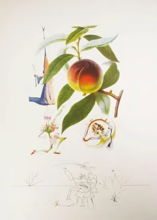 Stich Dali - Flordali - Pêcher Pénitent