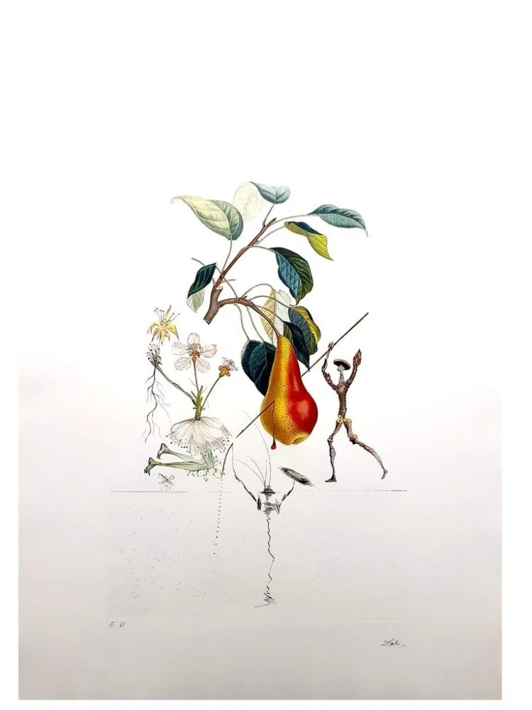 Stich Dali - Flordali - Poire Don Quixote