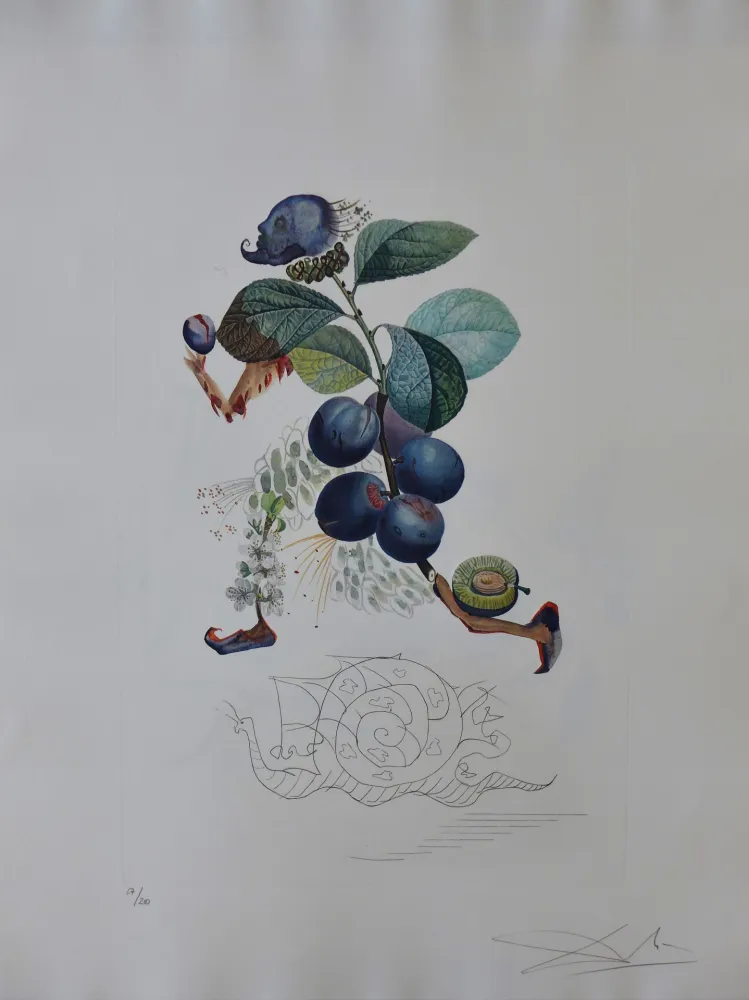 Stich Dali - Flordali - Prunier Hatif