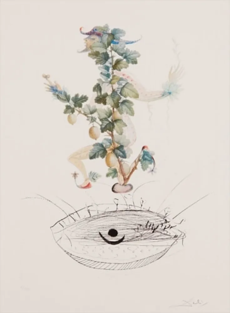 Stich Dali - Flordali - Révérence du Groseiller