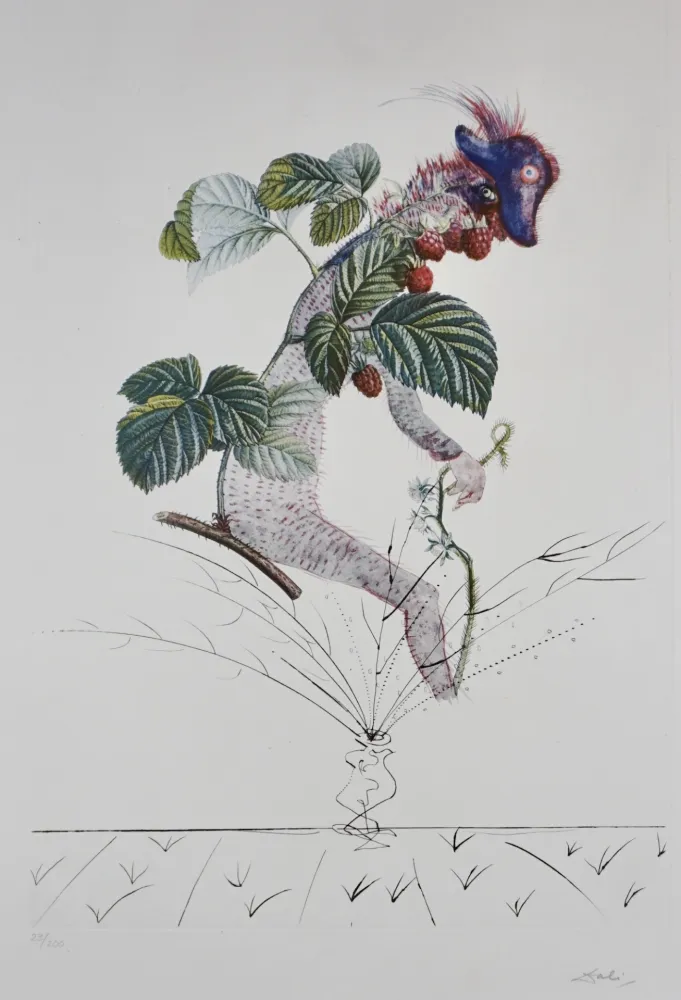 Stich Dali - FlorDali/Les Fruits Raspberry
