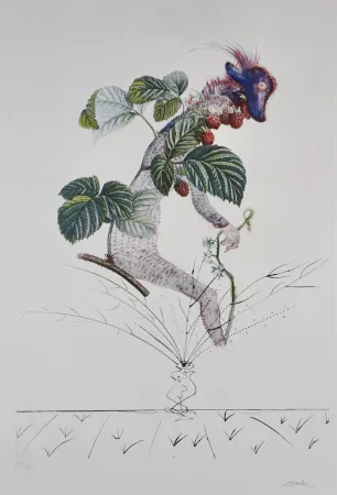 Stich Dali - FlorDali/Les Fruits Raspberry