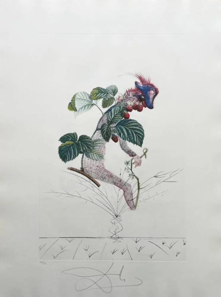 Lithographie Dali - Framboisier (Raspberry Bush)