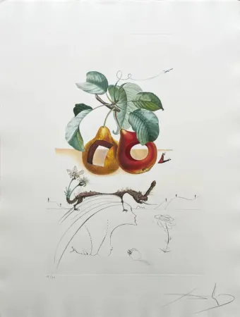 Lithographie Dali - Holed Fruit from Flordali suite