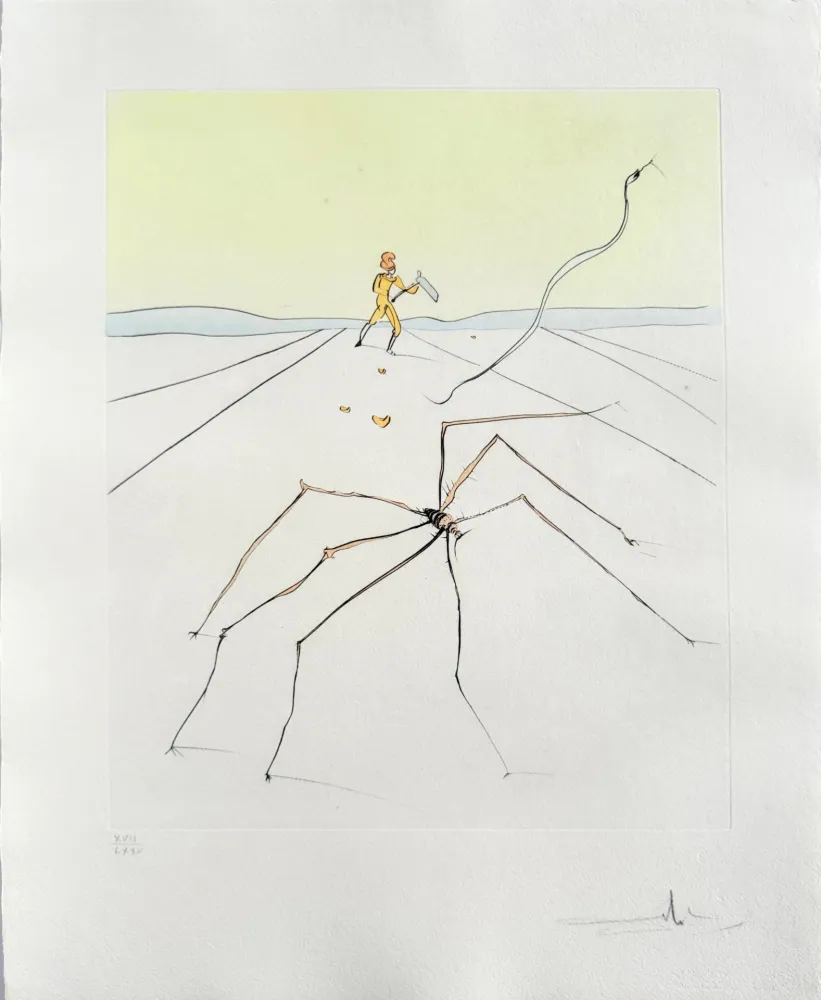 Kaltnadelradierung Dali - Kumo (The weaver spider)