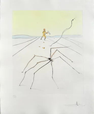 Kaltnadelradierung Dali - Kumo (The weaver spider)