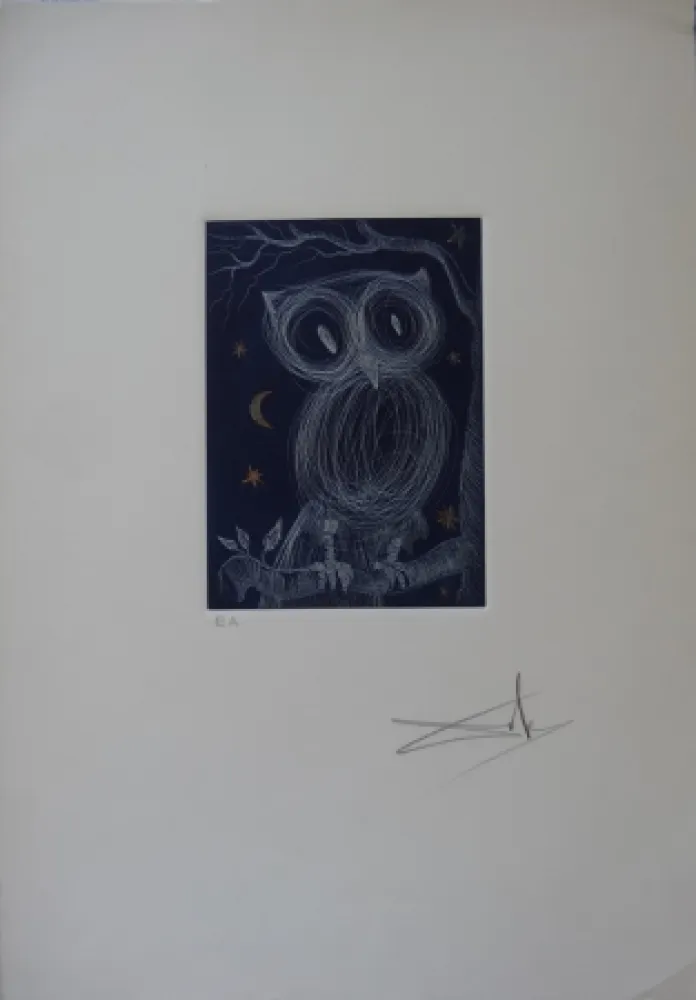 Radierung Dali - La petite chouette