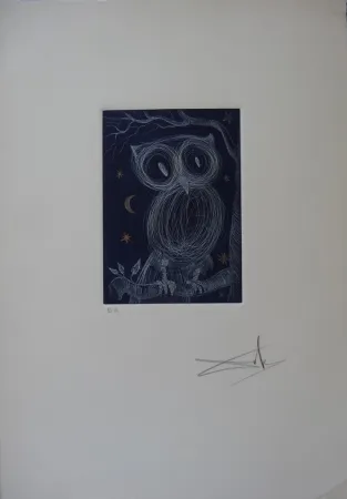 Radierung Dali - La petite chouette