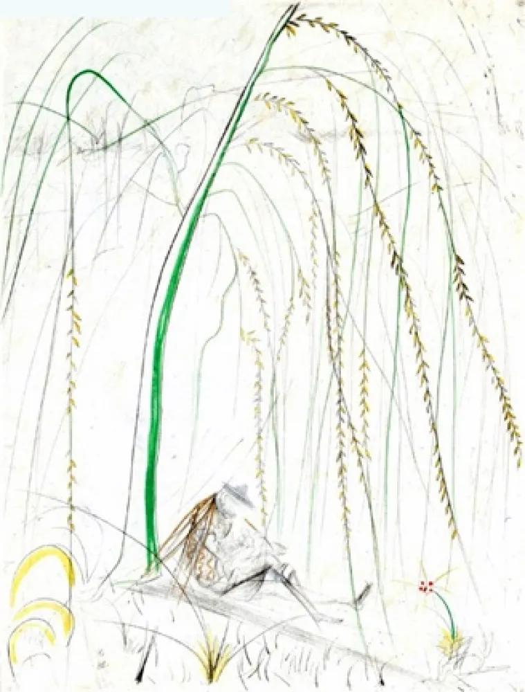 Stich Dali - Le Saule Pleurer (Weeping Willow)