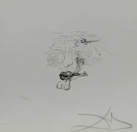 Stich Dali - Les Chantes de Maldoror Carnal Transfiguration