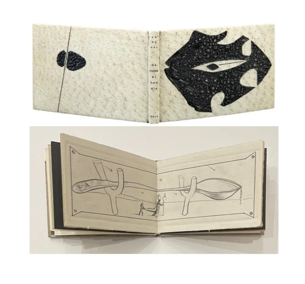 Illustriertes Buch Dali - ME PUDRE MI AGONIA