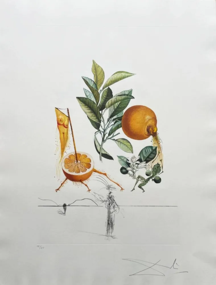 Lithographie Dali - Pamplemousse érotique (Erotic Grapefruit)