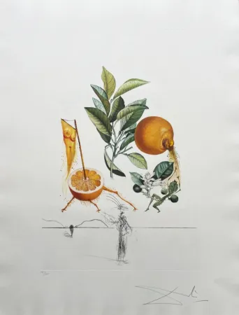 Lithographie Dali - Pamplemousse érotique (Erotic Grapefruit)