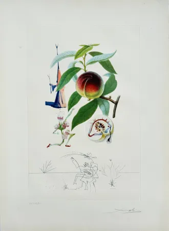 Lithographie Dali - Penitent Peach-tree from Flordali suite