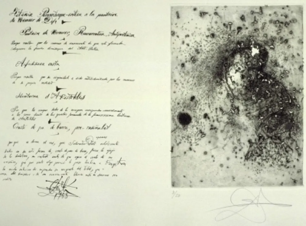 Stich Dali - Puntaire de Vermeer (La Dentellière)